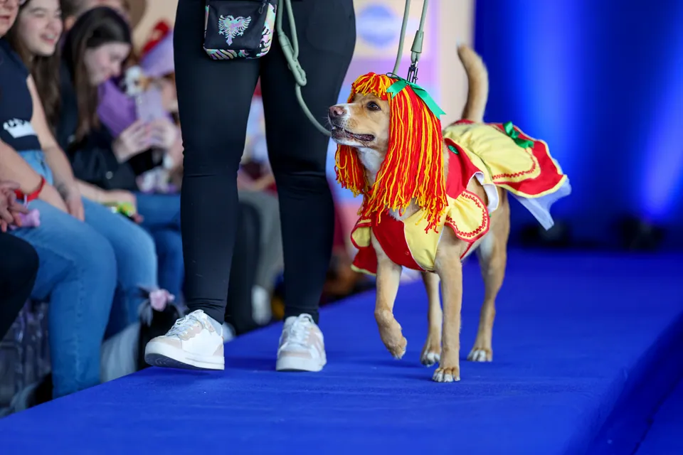 Cãocurso Condor 2025 — foto 6